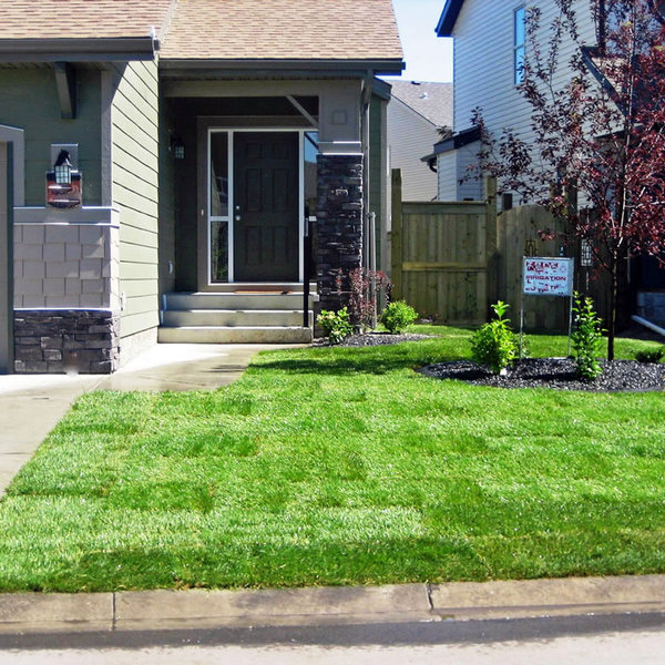 Cushty Front Yard Patio Ideas Gravel Small Alternative Home Ideas