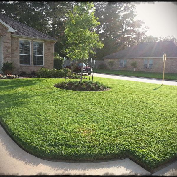 Gravel Front Garden Design Ideas Elegant Small Yard Landscaping