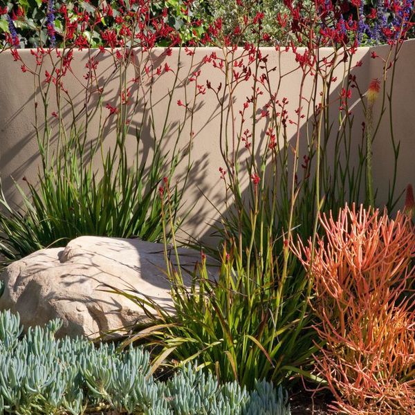 Modern Front Yard Landscaping Images Grey Gravel Driveway Pebble