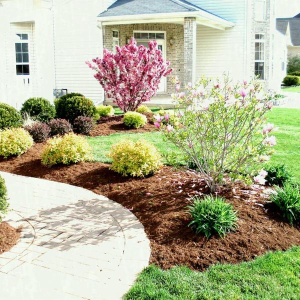 Outdoor Garden Small Front Yard Landscaping Ideas With Gravel L